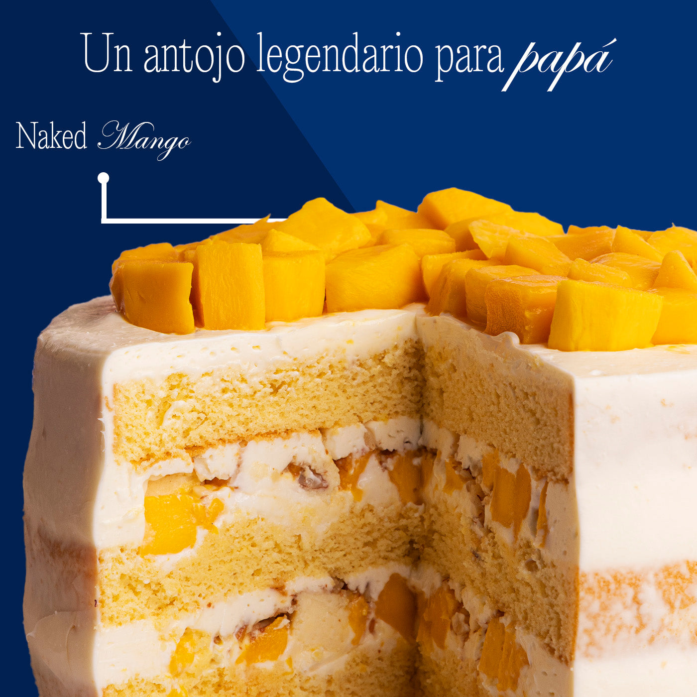Kuchen Alta Repostería MX