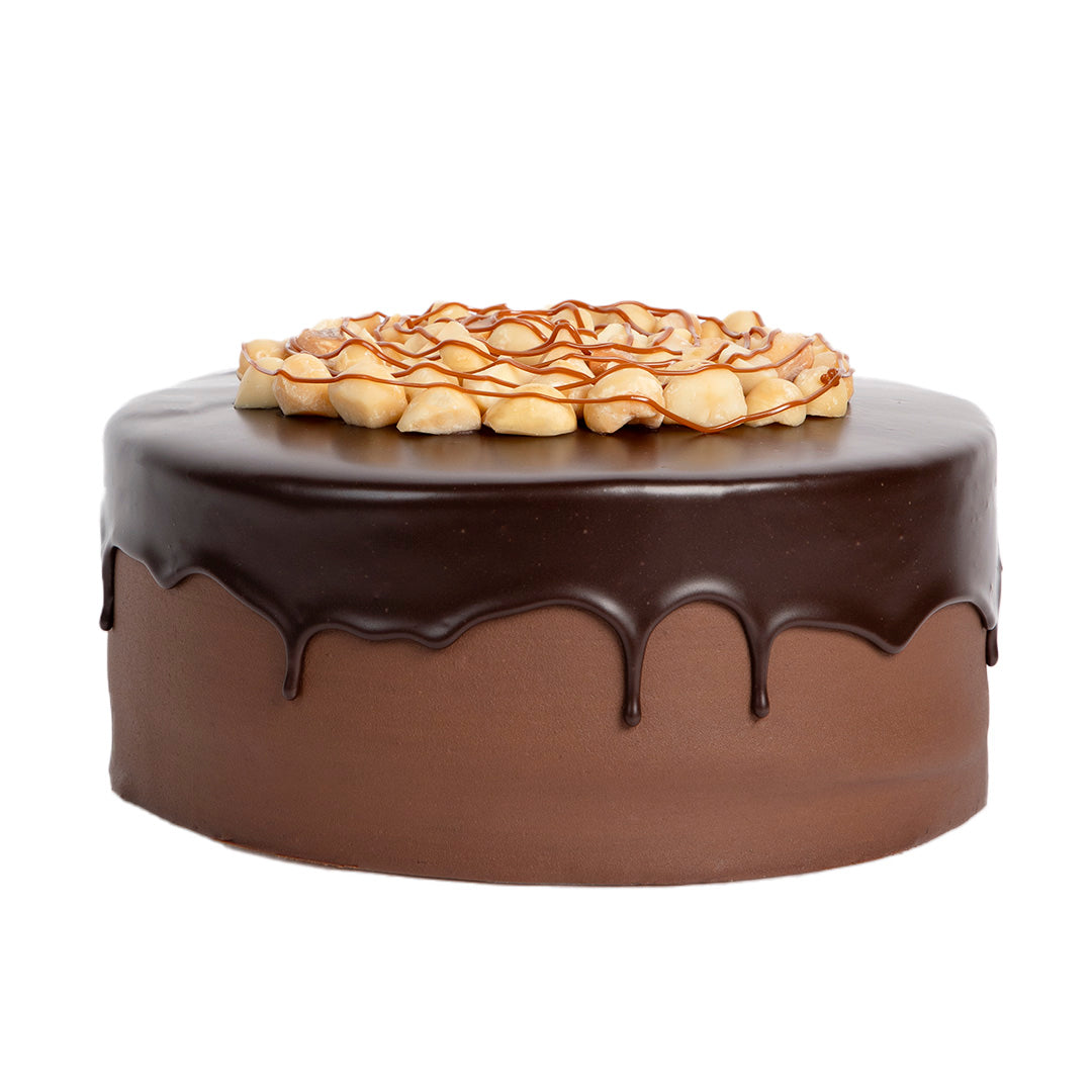 
                  
                    Macadamia
                  
                