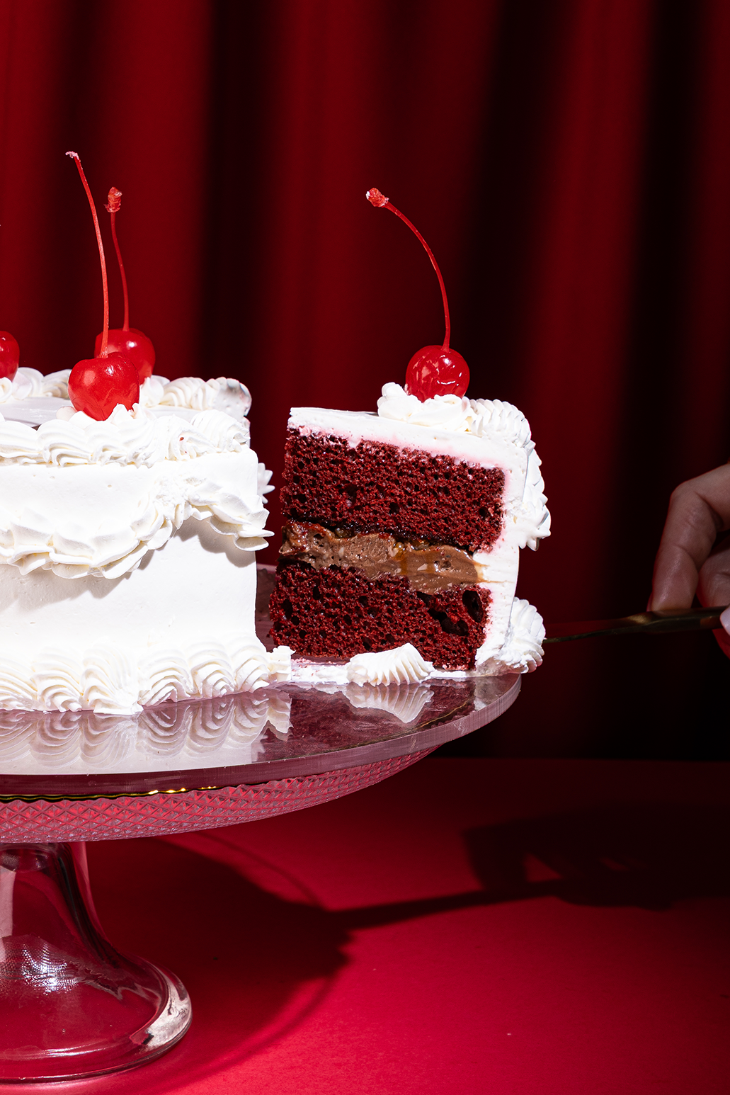 
                  
                    Red Velvet Edición Especial
                  
                